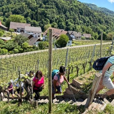 Buchberg2026-15